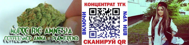 MEGA зеркало  Оренбург  Дистиллят ТГК концентрат 