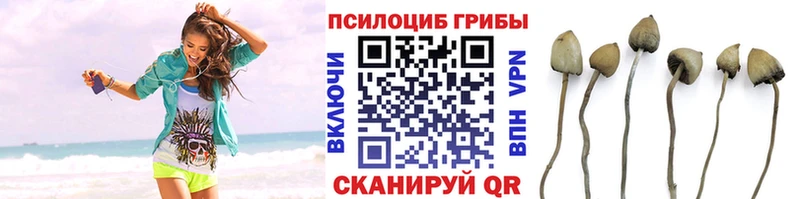 купить наркоту  omg ТОР  Галлюциногенные грибы ЛСД  Оренбург 